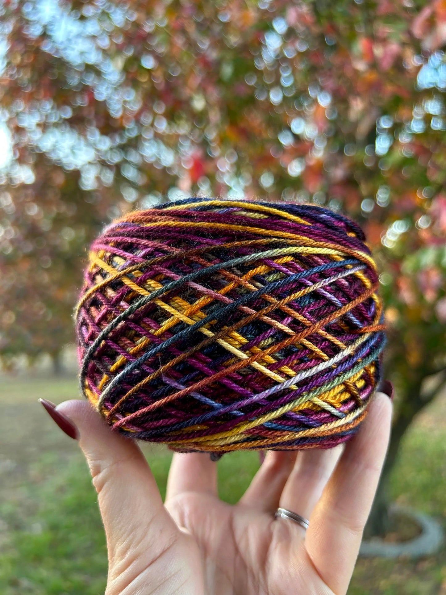 “Rich Autumn” | Hand Dyed Yarn