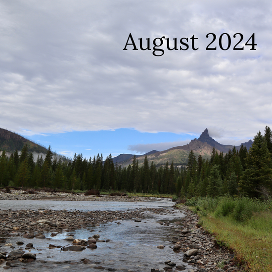 Silk Scrunchie Monthly Club