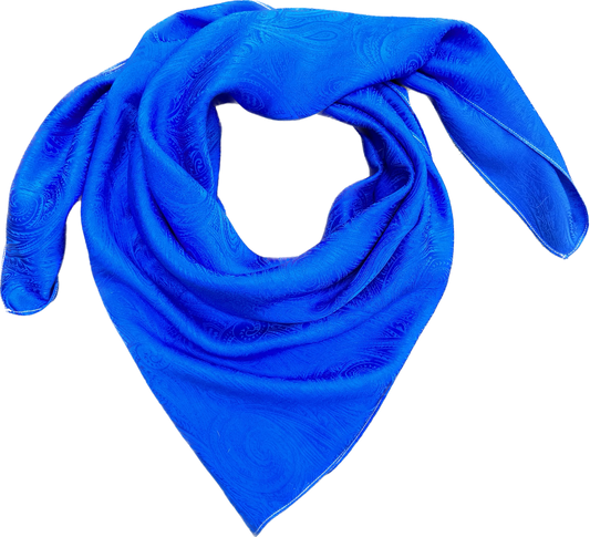 Jacquard Silk Wild Rag- “Atomic Blue”