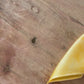 Mango Orange- 100% Silk Wild Rag